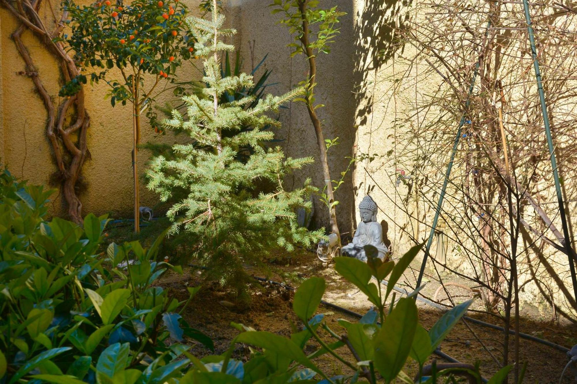 Apartamento Τhe Hidden Garden Corfu  Exterior foto