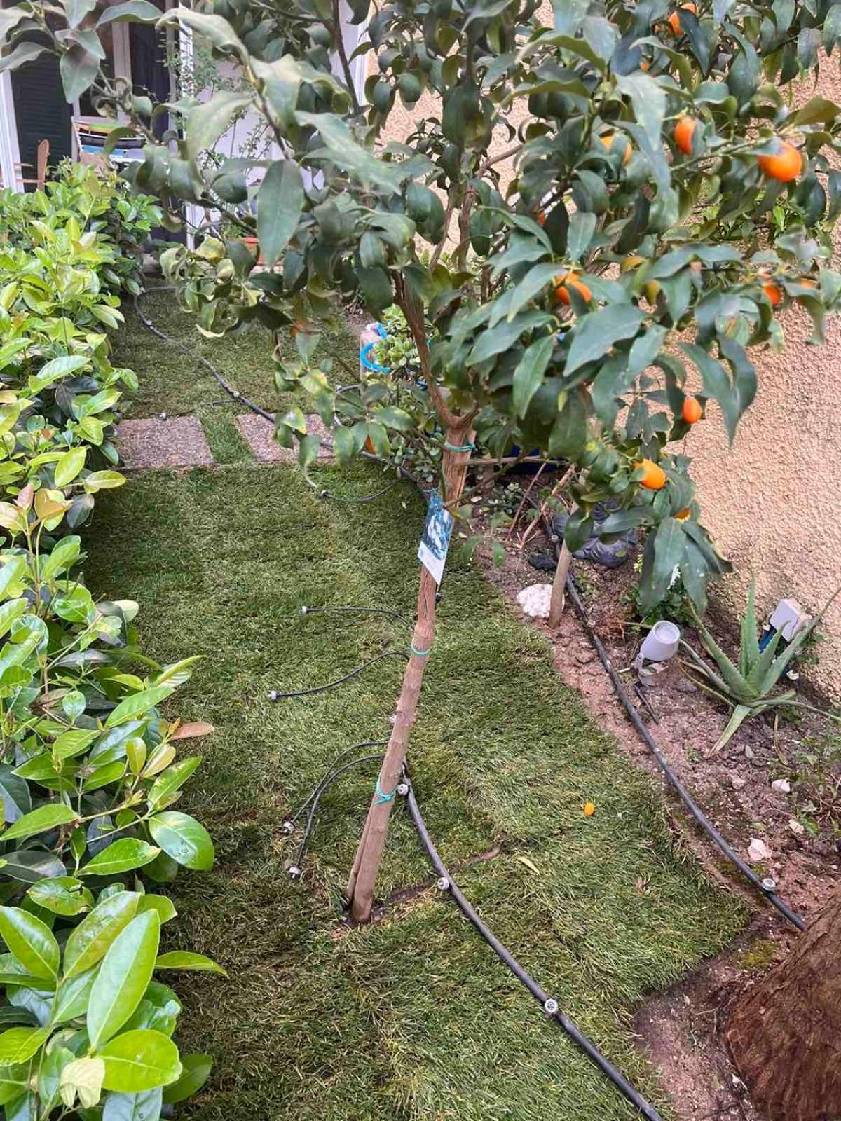 Apartamento Τhe Hidden Garden Corfu  Exterior foto